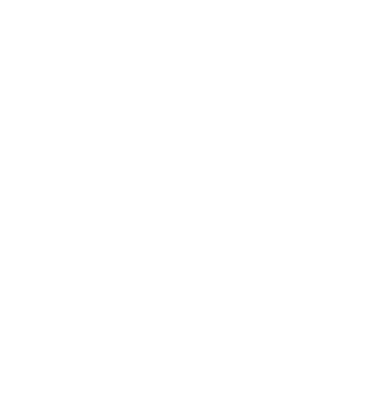 Ceiva BH